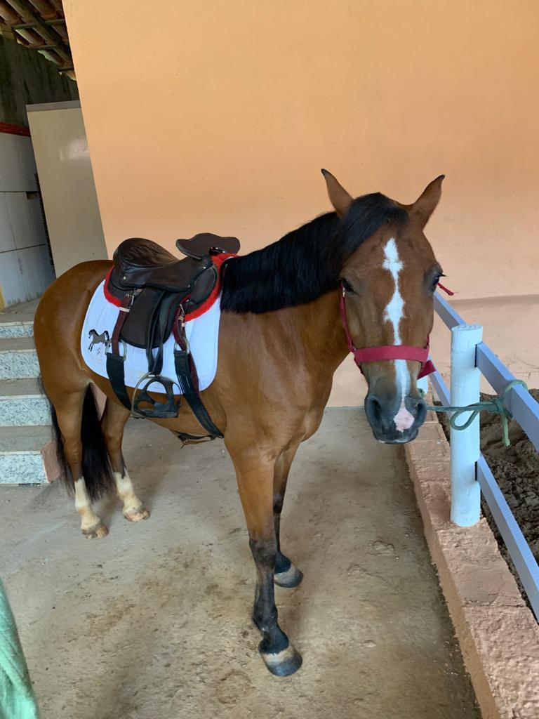 WhatsApp Image 2019-12-18 at 00.02.38.jpeg