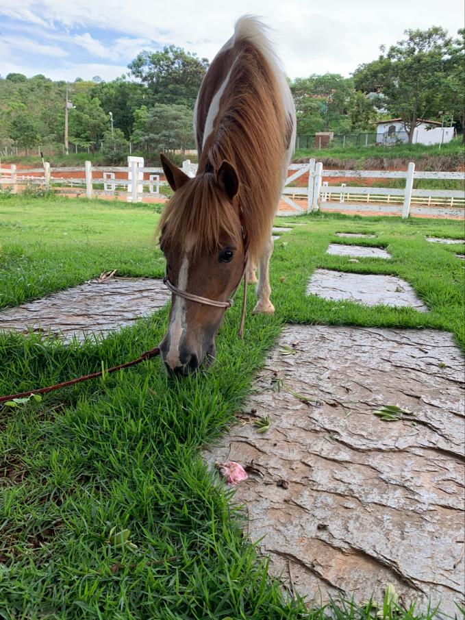 WhatsApp Image 2019-12-17 at 22.51.57.jpeg