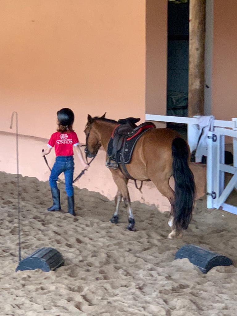 WhatsApp Image 2019-12-18 at 00.02.00.jpeg